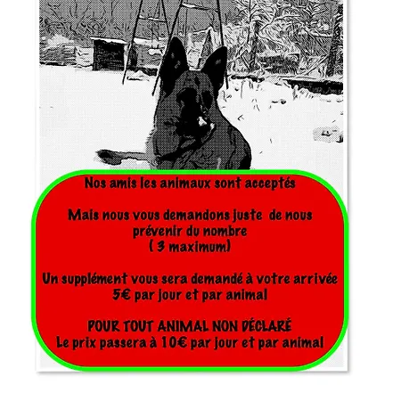 Chez Lavalou 4* Chaleureux En Bois * Lannemezan